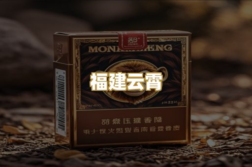 福建云霄